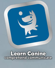 Learn Canine comprehend communicate