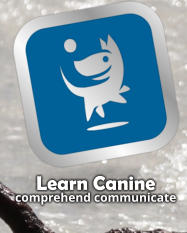 Learn Canine comprehend communicate