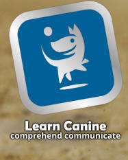 Learn Canine comprehend communicate